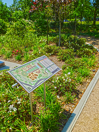 Hermann Park - McGovern Centennial Gardens