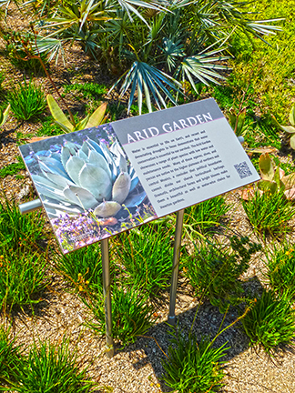 Hermann Park - McGovern Centennial Gardens