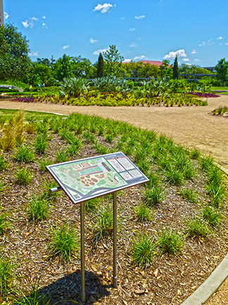 Hermann Park - McGovern Centennial Gardens