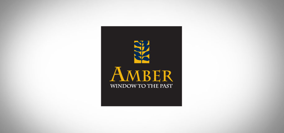 The Smithsonian Institution Amber Logo