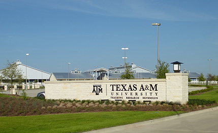 Texas A&M University - Thomas G. Hildebrand, DVM, Equine Complex