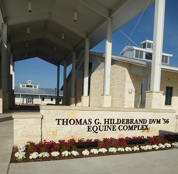 Texas A&M University - Thomas G. Hildebrand, DVM, Equine Complex