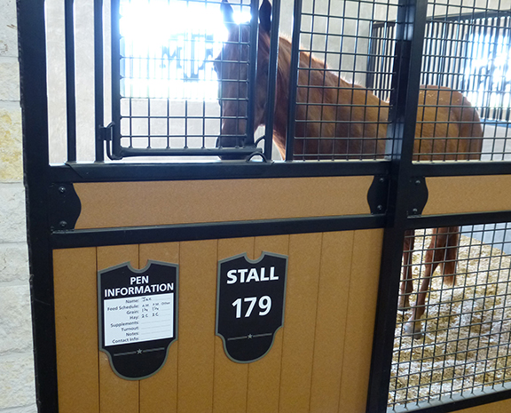Texas A&M University - Thomas G. Hildebrand, DVM, Equine Complex